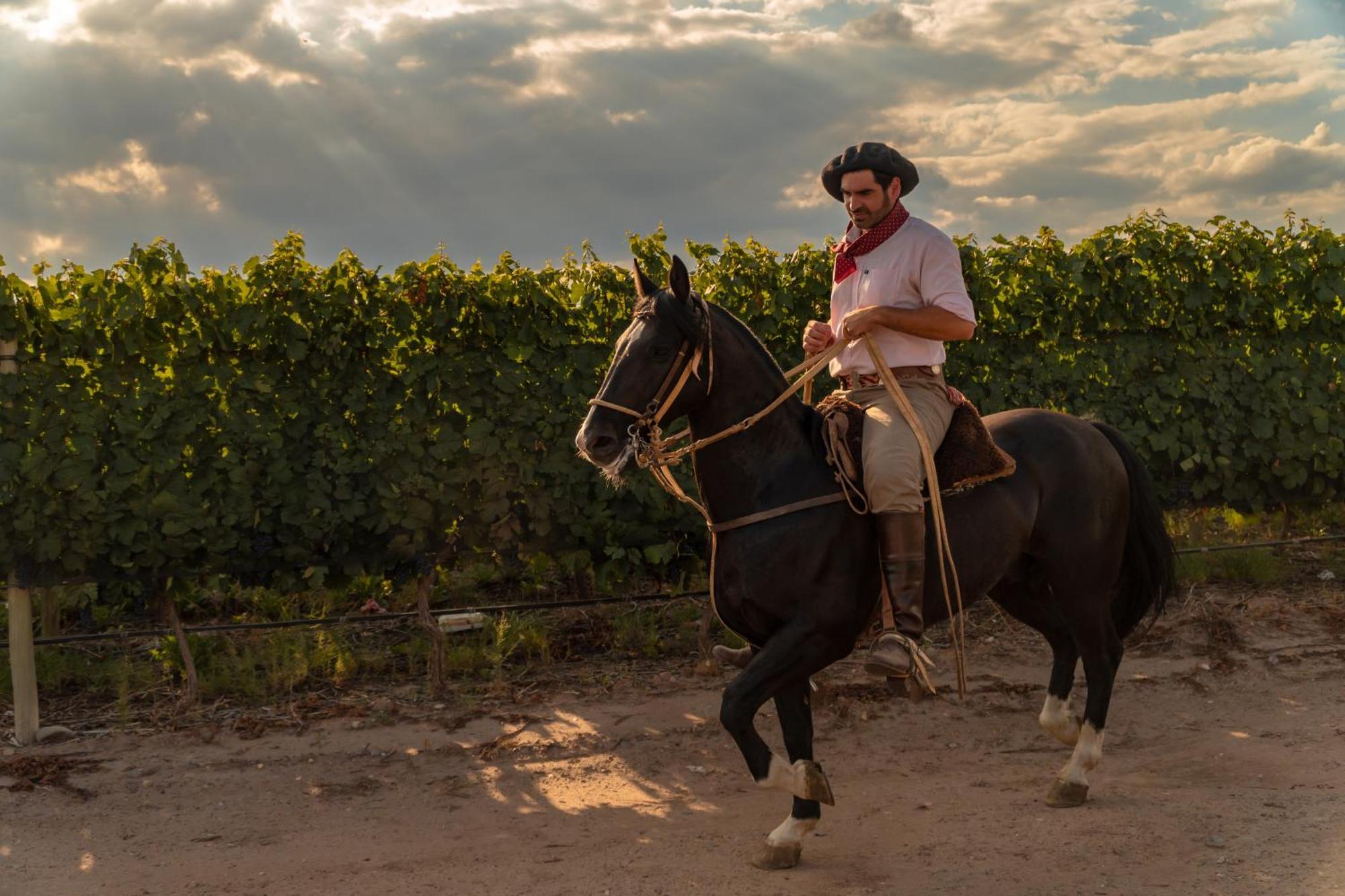 Rosell Boher Winery & 5* Agrelo