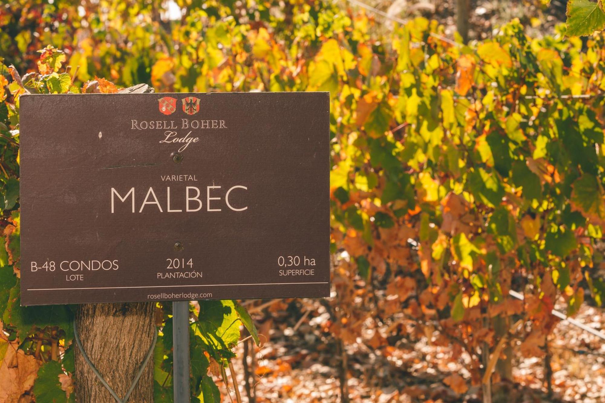 Hotel Rosell Boher Winery & 5*