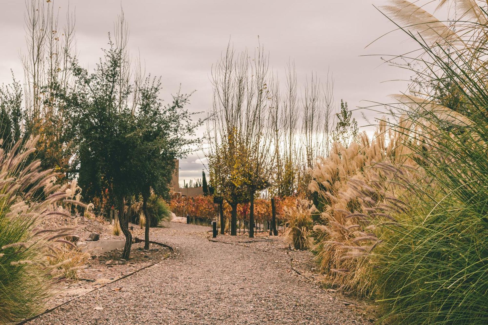 Rosell Boher Winery & Hotel