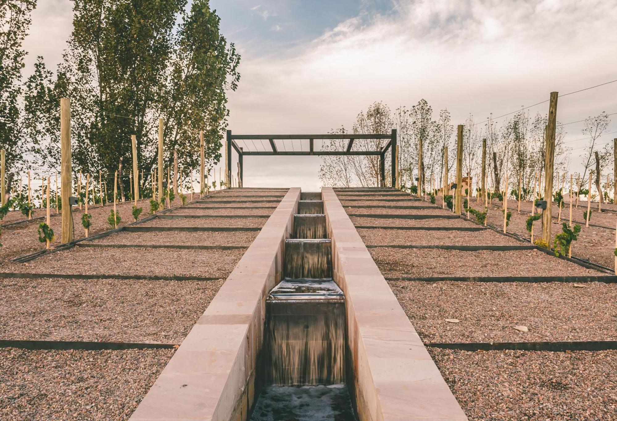 Rosell Boher Winery & Agrelo